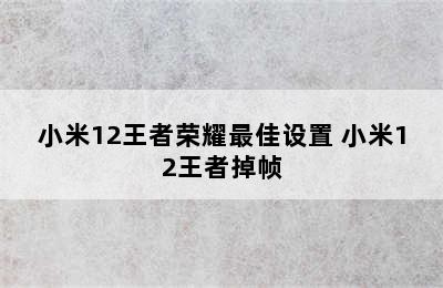 小米12王者荣耀最佳设置 小米12王者掉帧